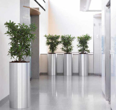 растения в металлических кашпо в лифтовом холле