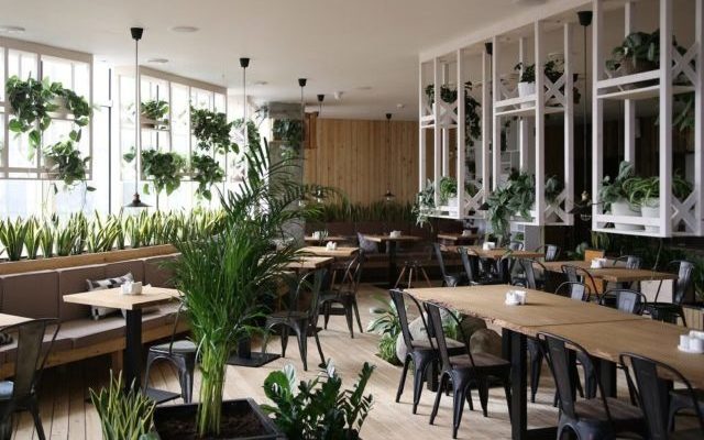 озеленение ресторанов в москве
