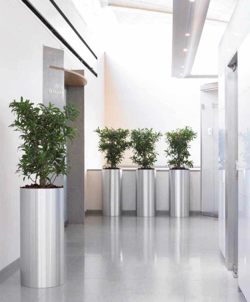 растения в металлических кашпо в лифтовом холле